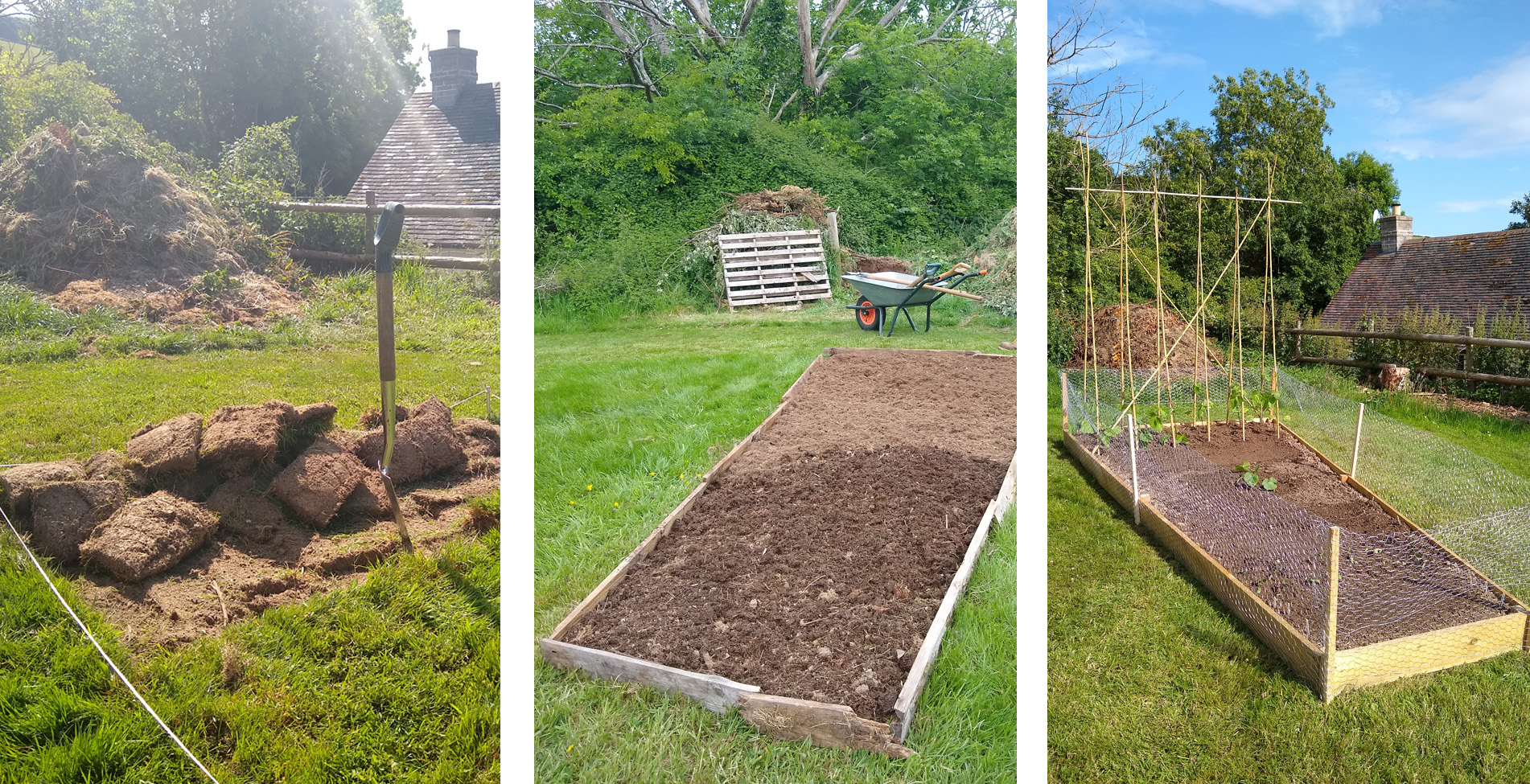 My Shropshire Garden Blog – Creating a garden in the beautiful South